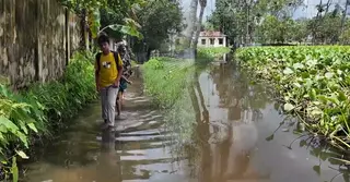 পানিবন্দি জীবন, বাড়ছে পানিবাহিত রোগ; শুধু আশ্বাসেই আটকে প্রতিকার